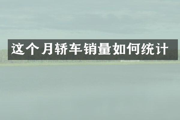 这个月轿车销量如何统计