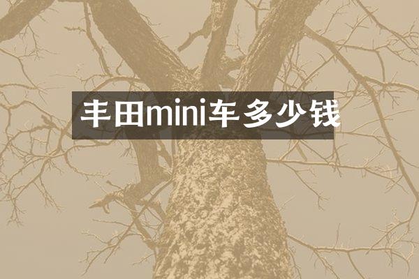 丰田mini车多少钱