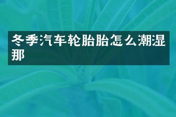 冬季汽车轮胎胎怎么潮湿那