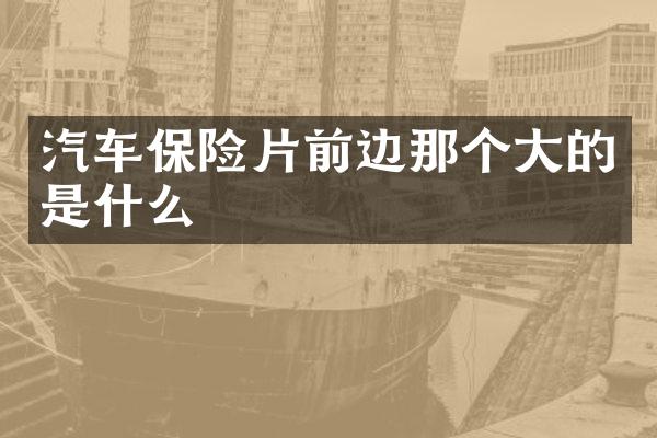 汽车保险片前边那个大的是什么