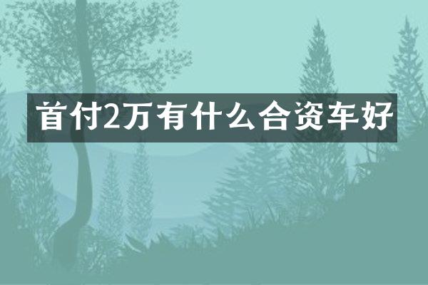 首付2万有什么合资车好