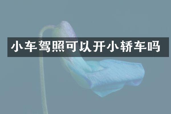 小车驾照可以开小轿车吗