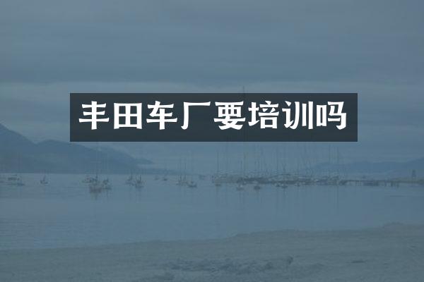 丰田车厂要培训吗