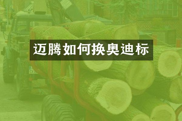 迈腾如何换奥迪标