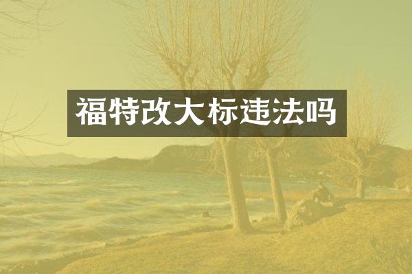 福特改大标违法吗