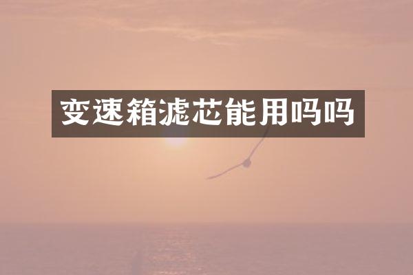 变速箱滤芯能用吗吗