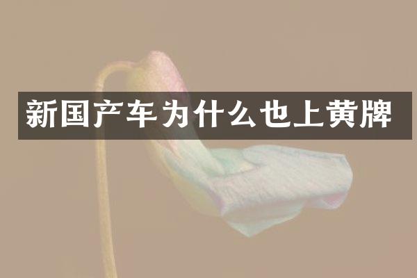 新国产车为什么也上黄牌