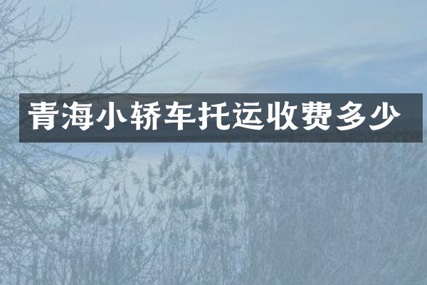 青海小轿车托运收费多少