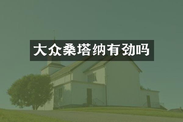 大众桑塔纳有劲吗