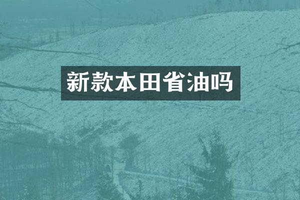 新款本田省油吗