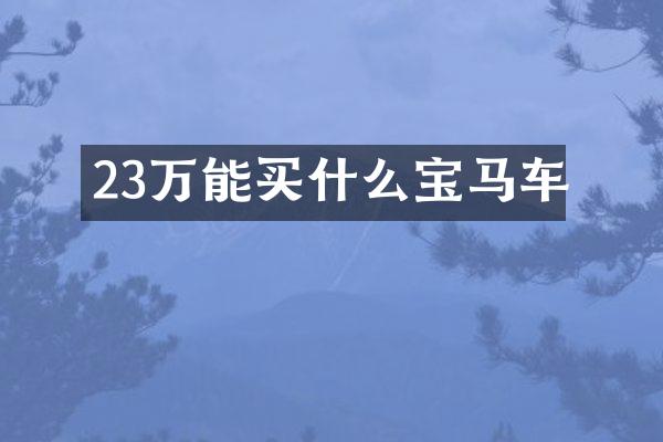 23万能宝马车