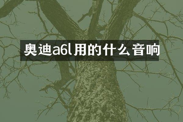 奥迪a6l用的什么音响