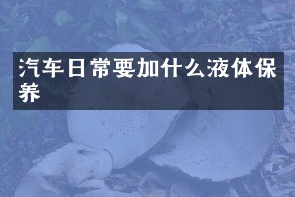 汽车日常要加什么液体保养