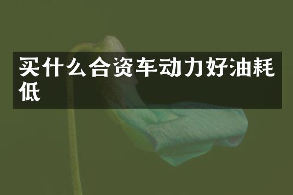 买什么合资车动力好油耗低