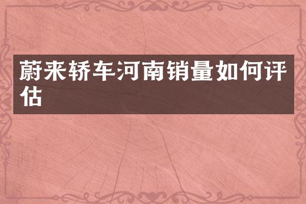 蔚来轿车河南销量如何评估