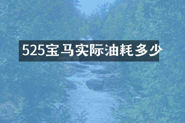 525宝马实际油耗多少