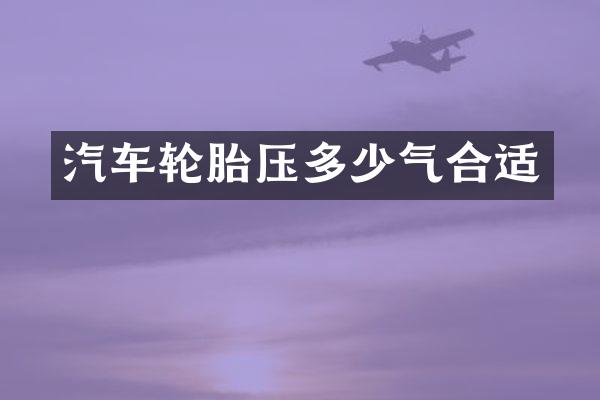 汽车轮胎压多少气合适