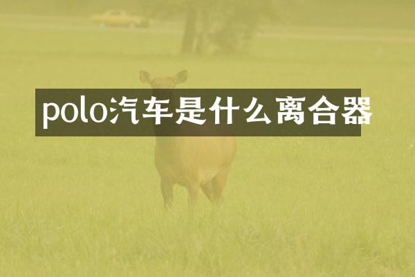 polo汽车是什么离合器