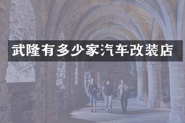 武隆有多少家汽车改装店
