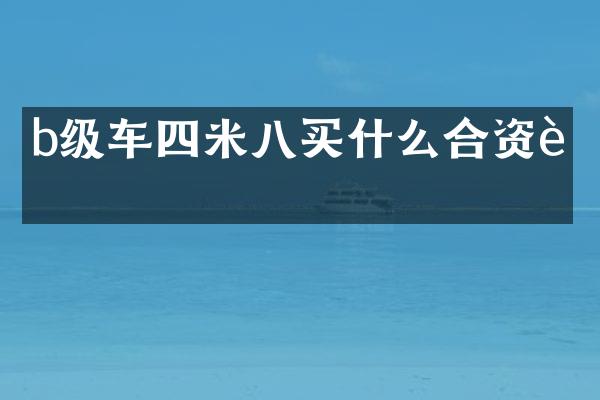 b级车四米八买什么合资车