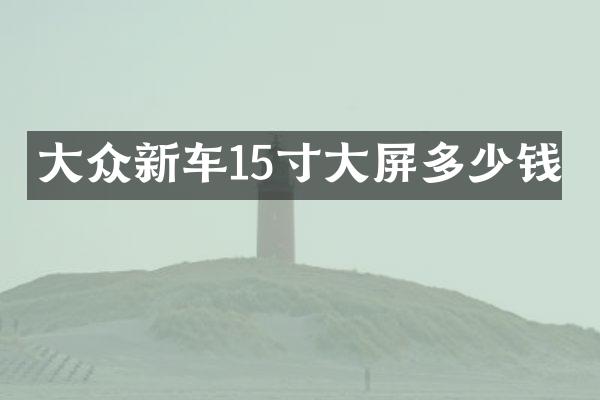 大众新车15寸大屏多少钱