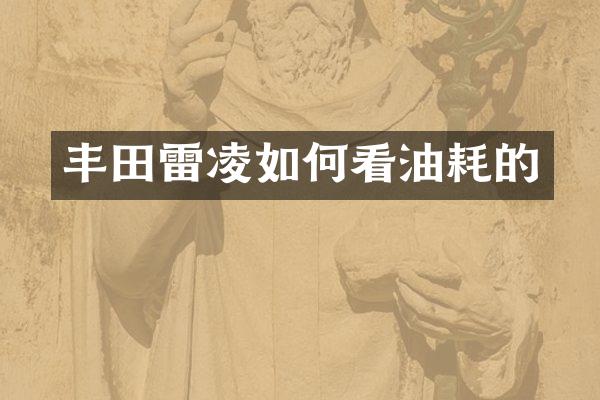 丰田雷凌如何看油耗的