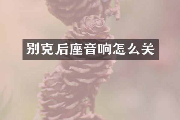 别克后座音响怎么关