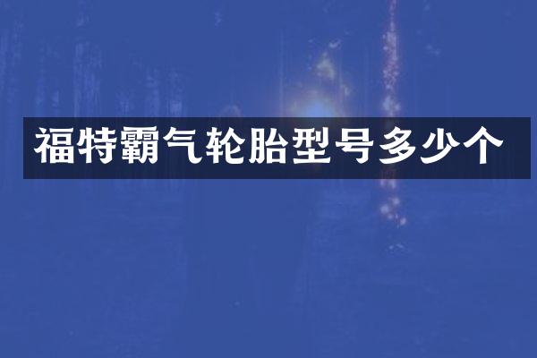 福特霸气轮胎型号多少个