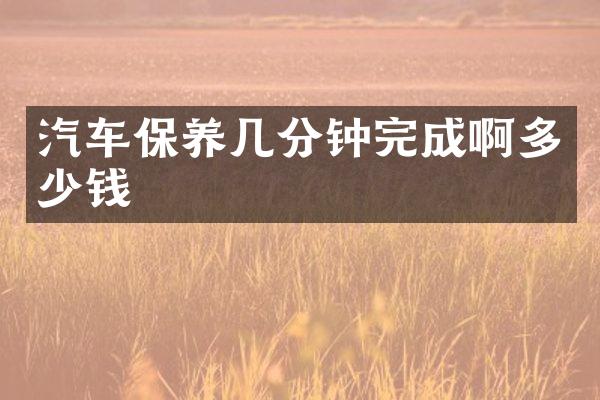 汽车保养几分钟完成啊多少钱