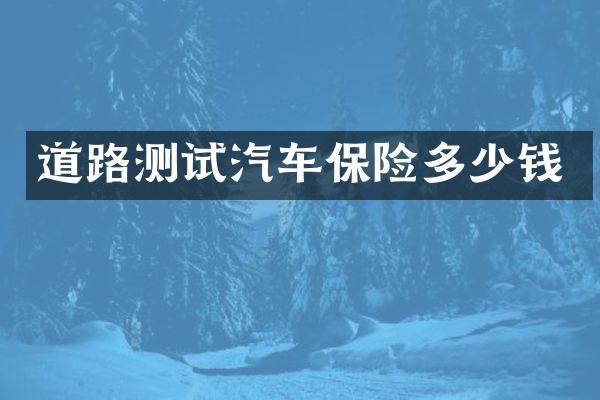 道路测试汽车保险多少钱