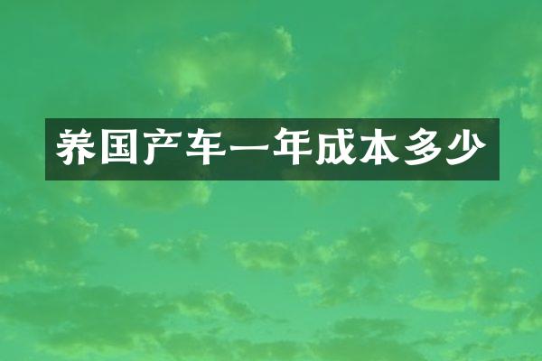 养国产车一年成本多少
