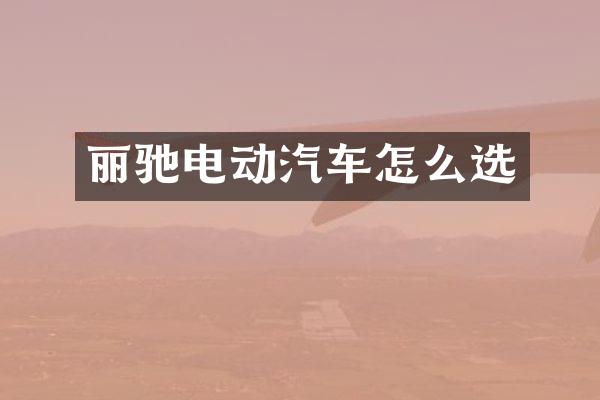 丽驰电动汽车怎么选