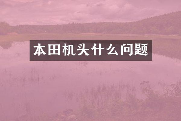 本田机头什么问题