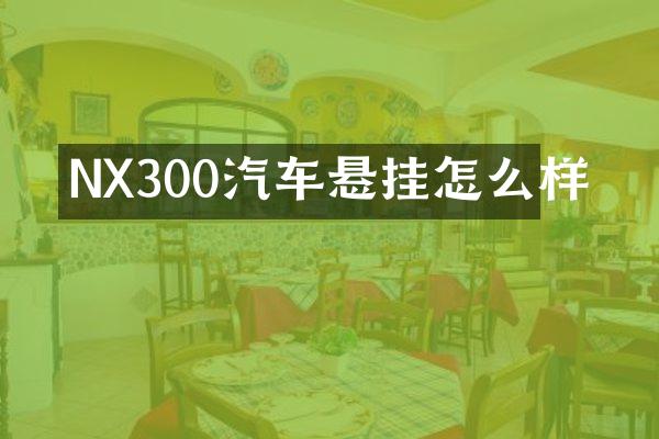 NX300汽车悬挂怎么样