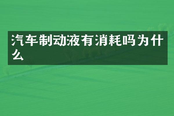 汽车制动液有消耗吗为什么