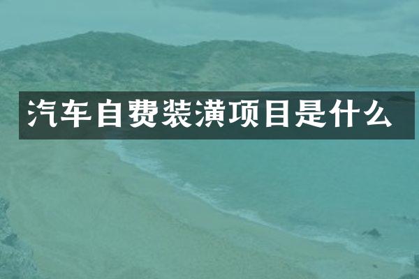 汽车自费装潢项目是什么