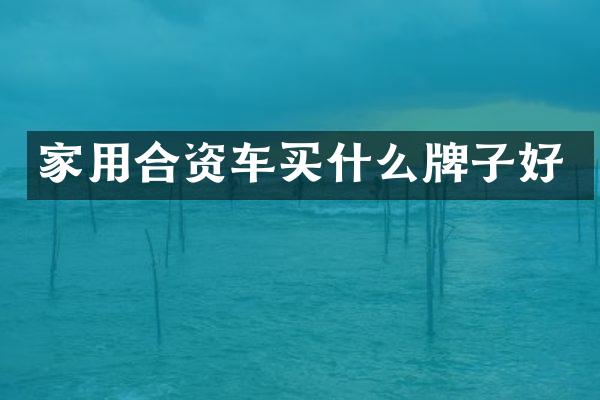 家用合资车牌子好