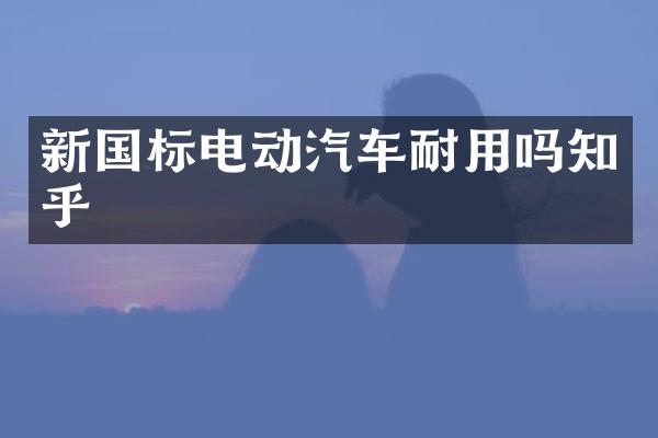 新国标电动汽车耐用吗知乎