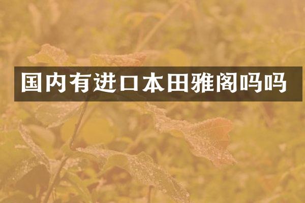 国内有进口本田雅阁吗吗