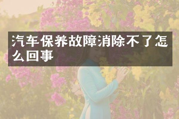 汽车保养故障消除不了怎么回事