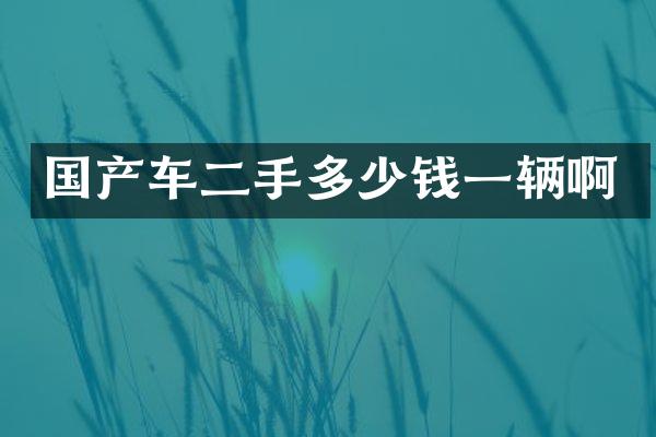 国产车二手多少钱一辆啊