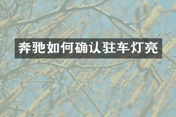 奔驰如何确认驻车灯亮