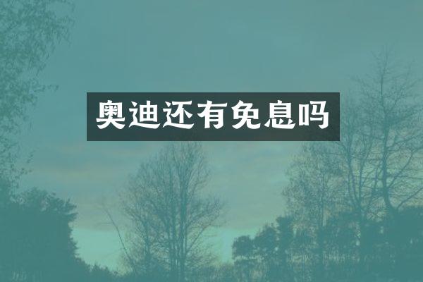 奥迪还有免息吗