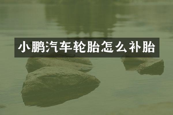 小鹏汽车轮胎怎么补胎