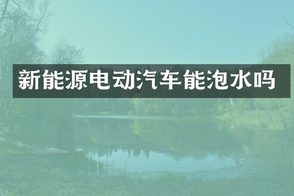 新能源电动汽车能泡水吗