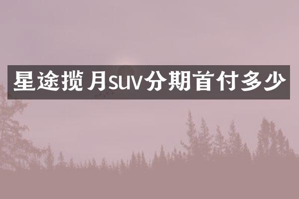 星途揽月suv分期首付多少