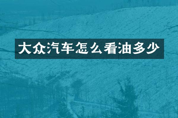 大众汽车怎么看油多少