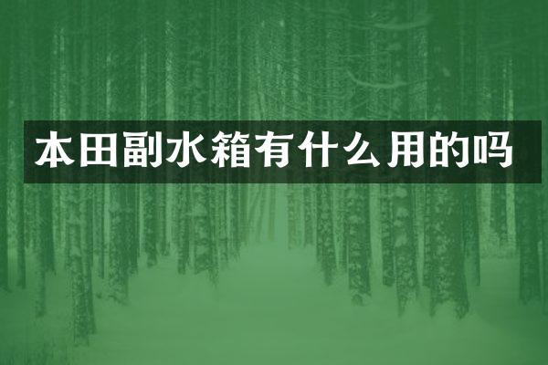 本田副水箱有什么用的吗