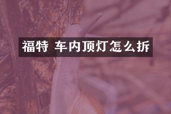 福特 车内顶灯怎么拆