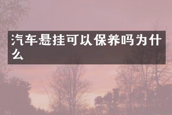 汽车悬挂可以保养吗为什么
